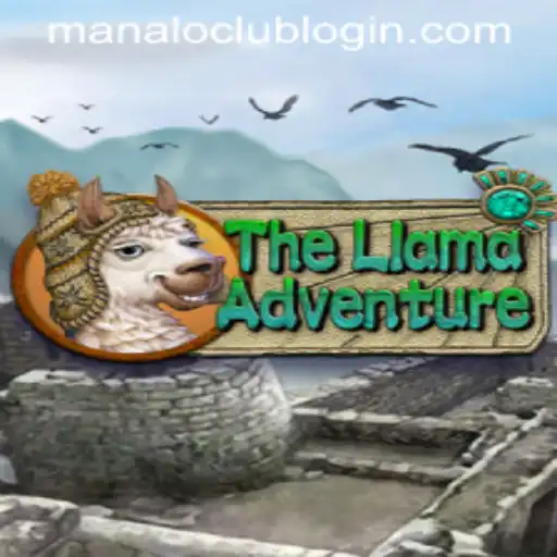 The Llama Adventure: A Journey through Manalo Club